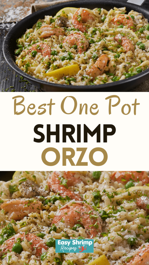 Best One Pan Shrimp Orzo