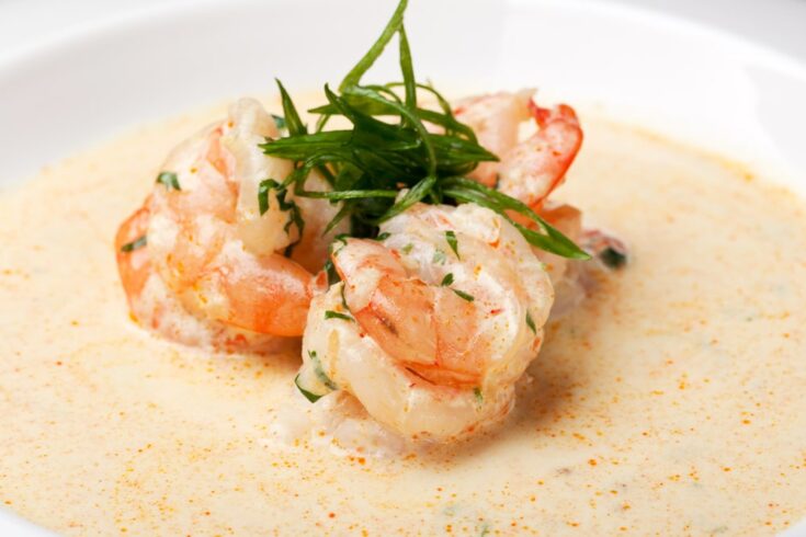 best recipe shrimp newburg