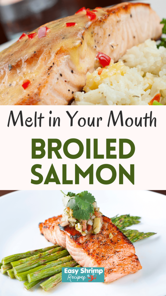 Juicy Broiled Salmon