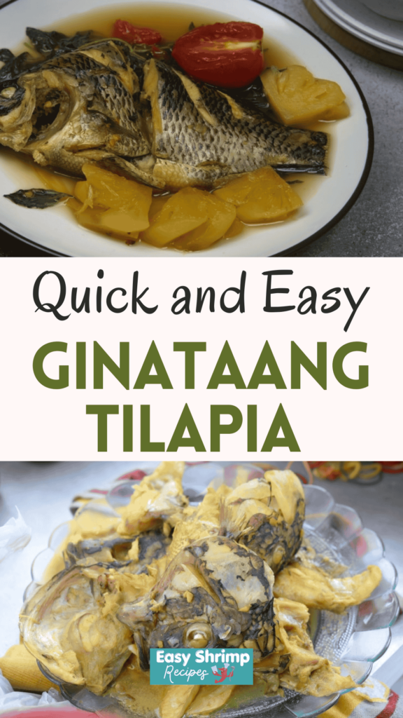 Easy Ginataang Tilapia