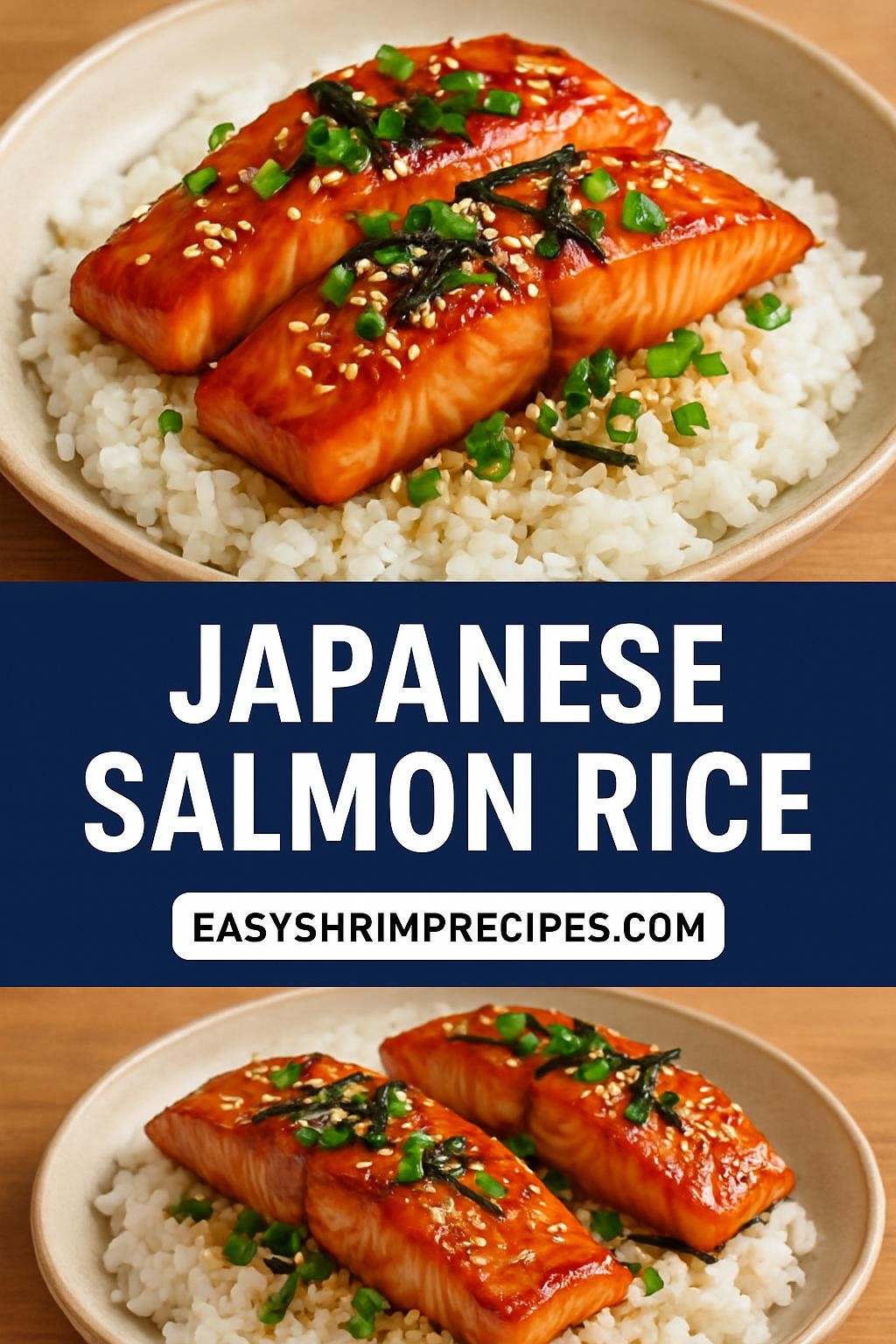 Japanese Salmon Rice