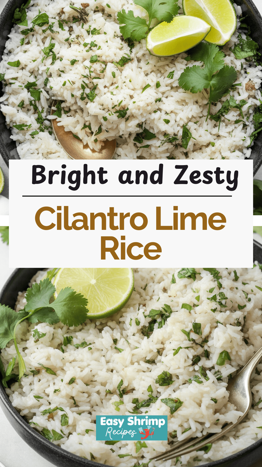 Cilantro Lime Rice Cilantro Lime Rice