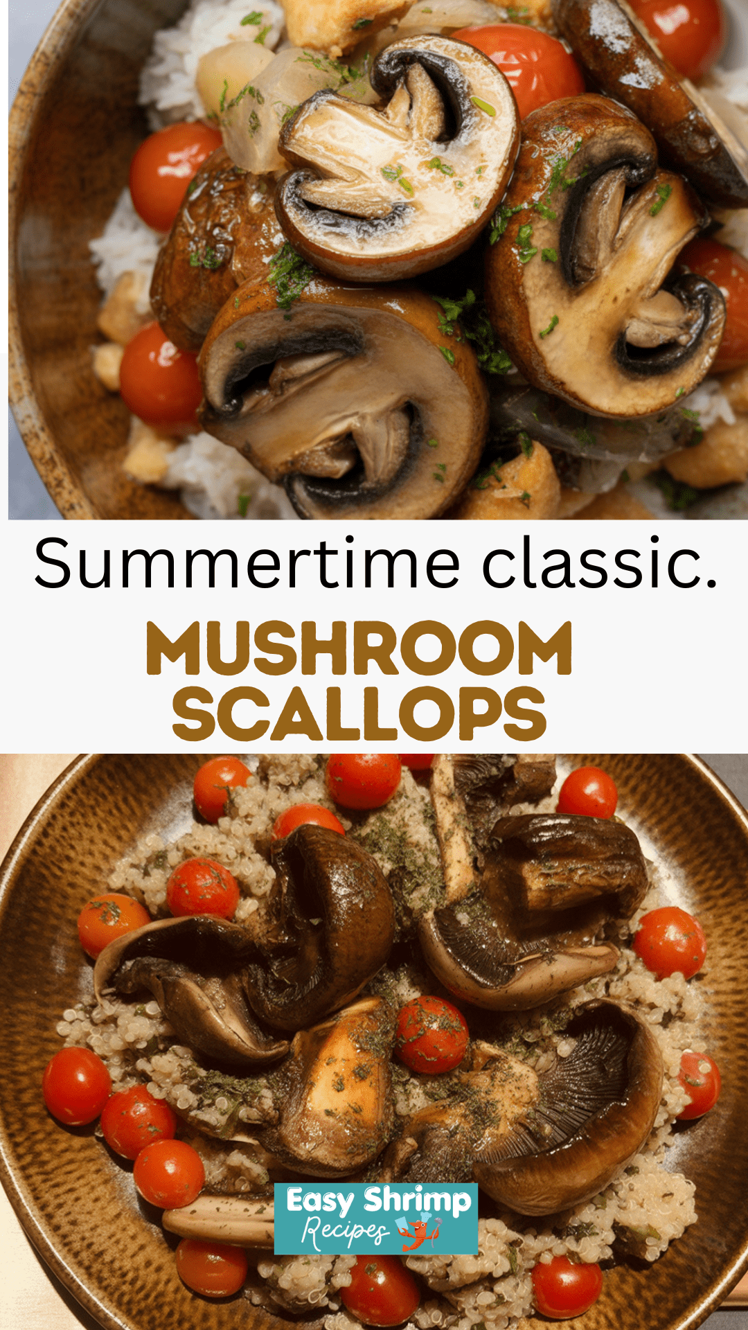 Mushroom Scallops Mushroom Scallops