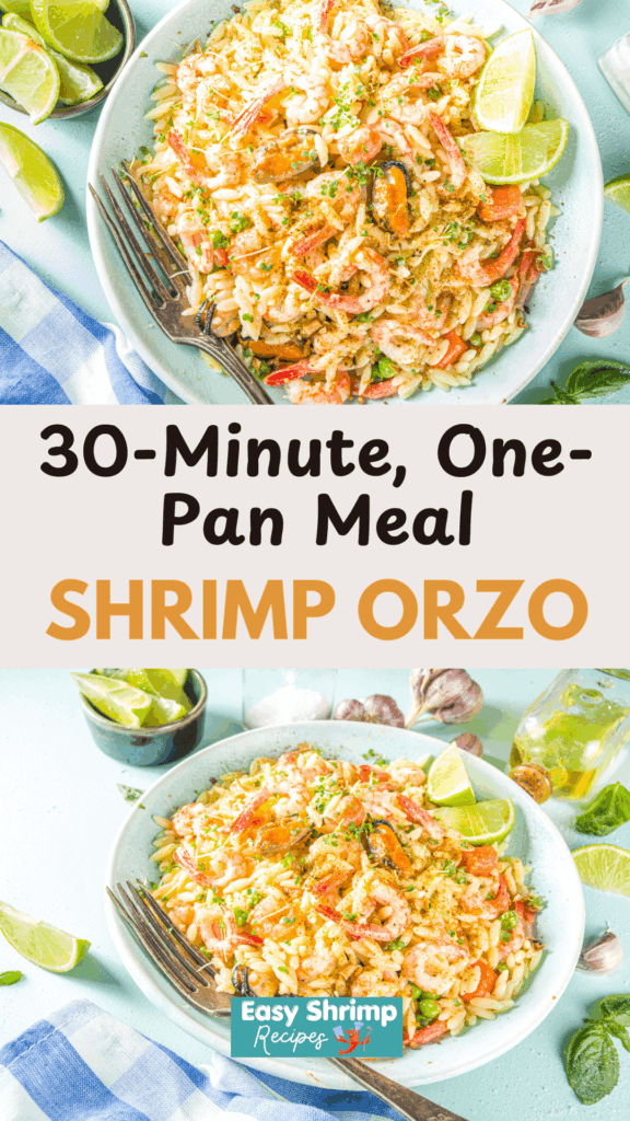 Shrimp Orzo Shrimp Orzo