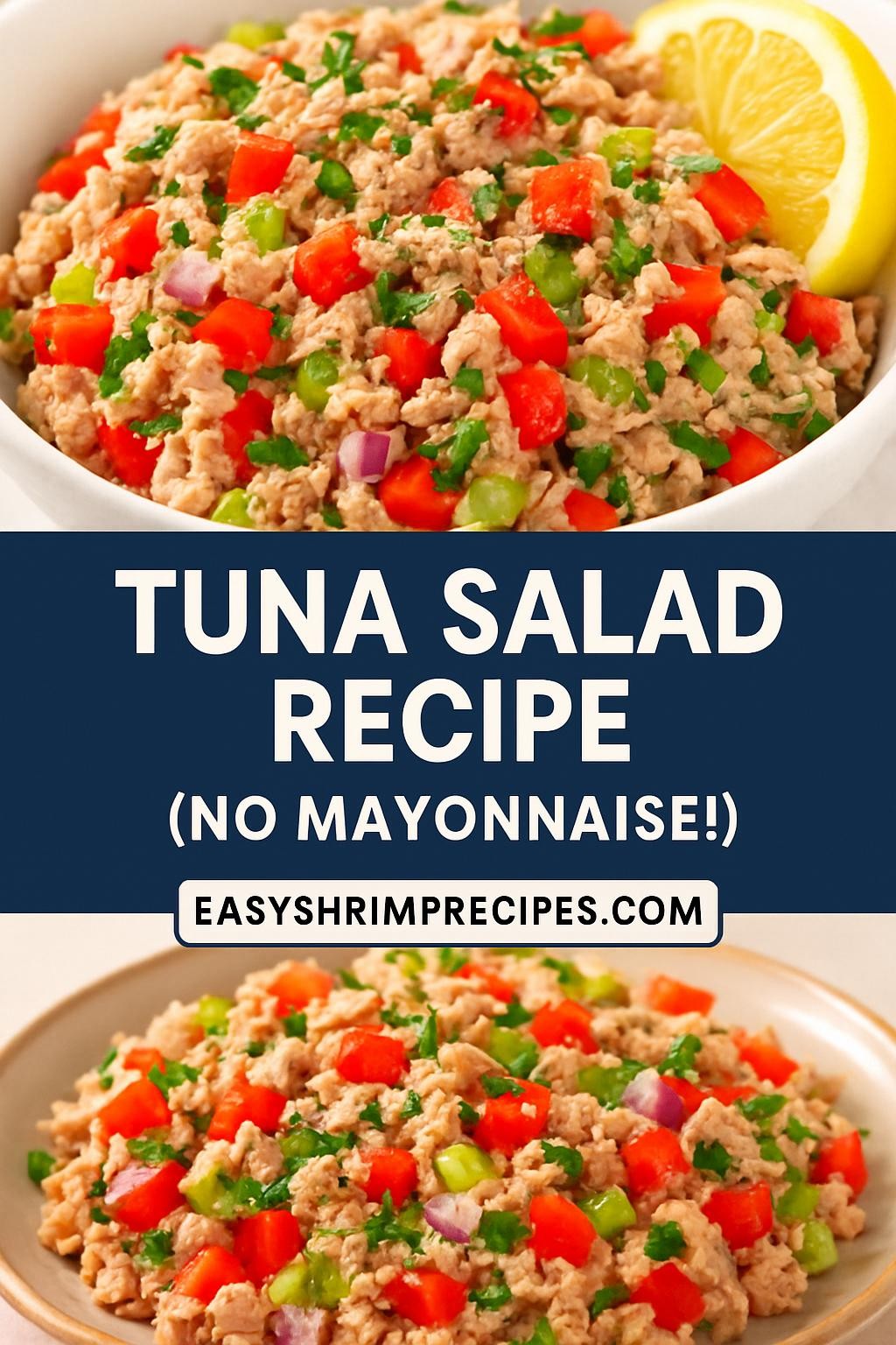 Tuna Salad Recipe (No Mayonnaise!)