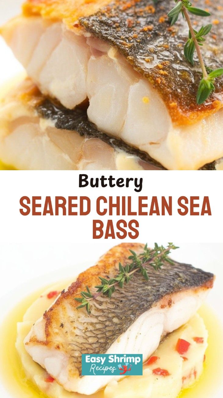 Sea Bass