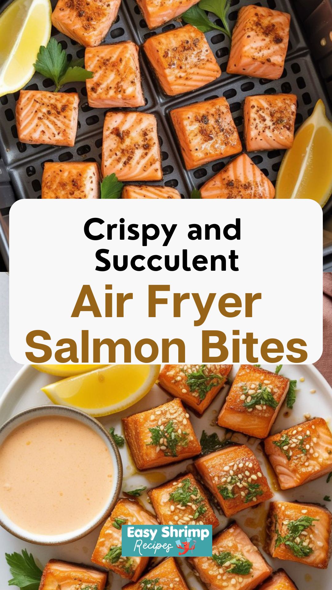 Air Fryer Salmon Bites