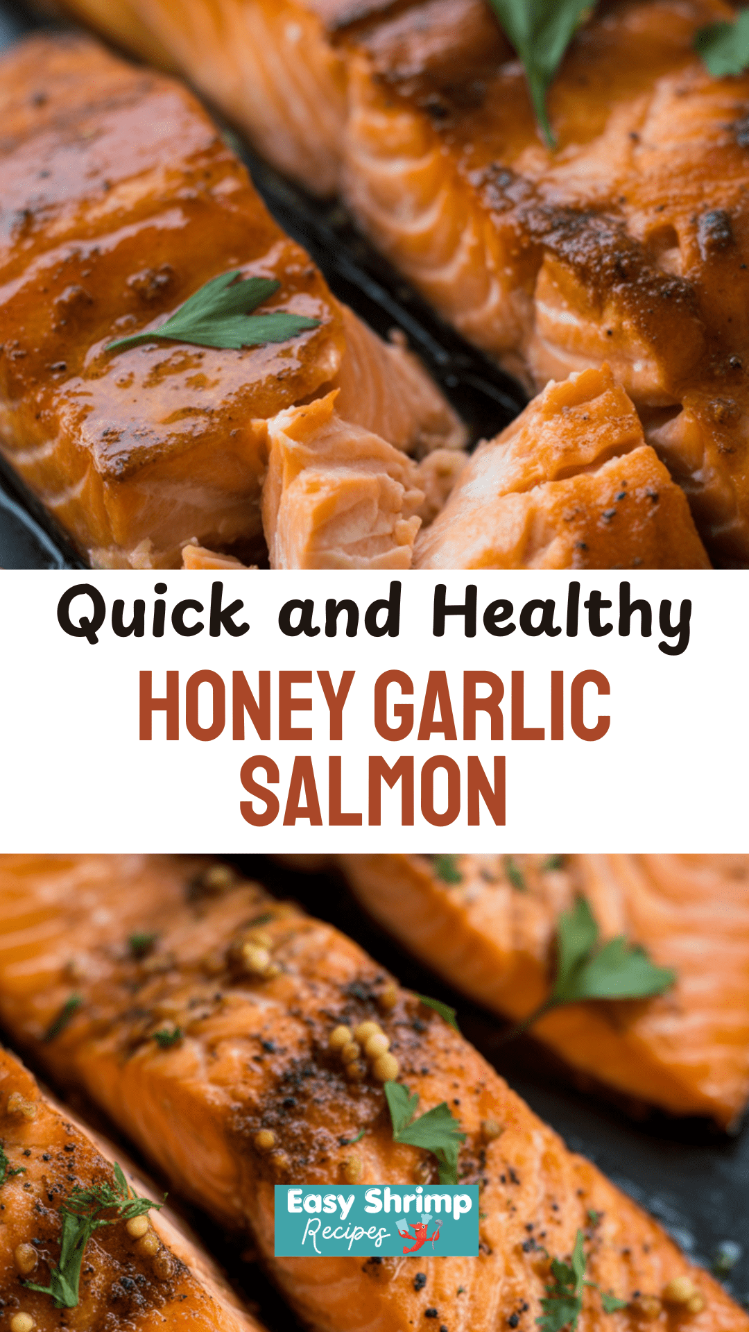 Honey Garlic Salmon