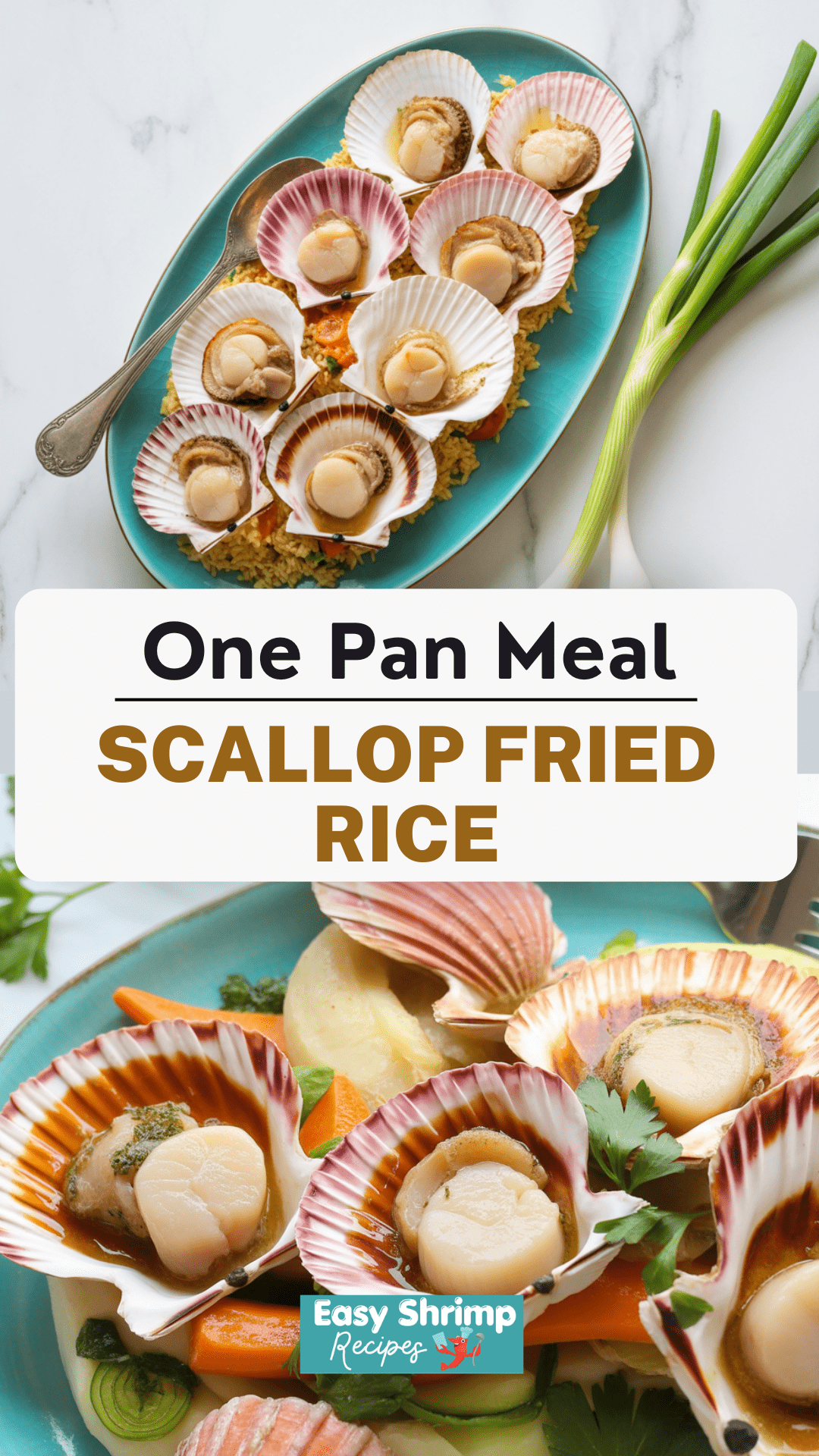 Scallop Fried Rice Scallop Fried Rice