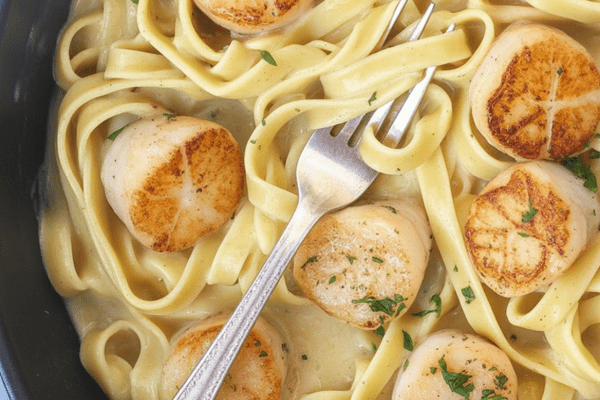 best Fettuccine Alfredo With Scallops best Fettuccine Alfredo With Scallops