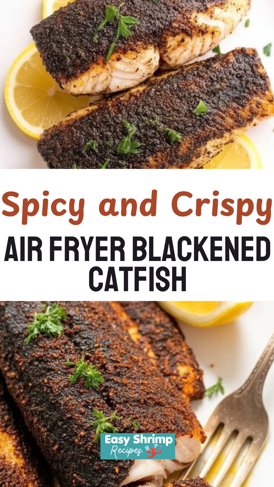 Air Fryer Blackened Catfish