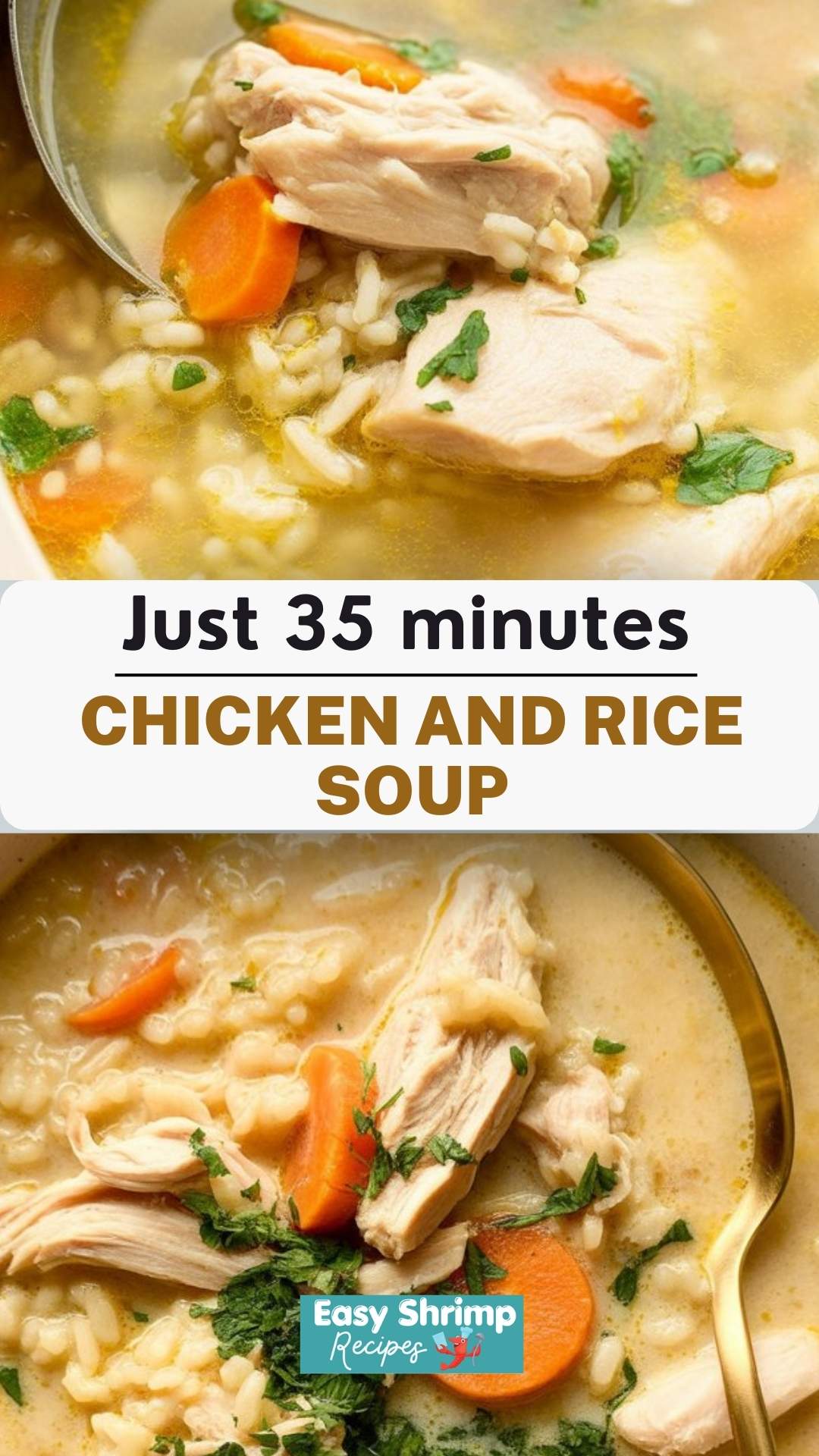 Chicken and Rice Soup