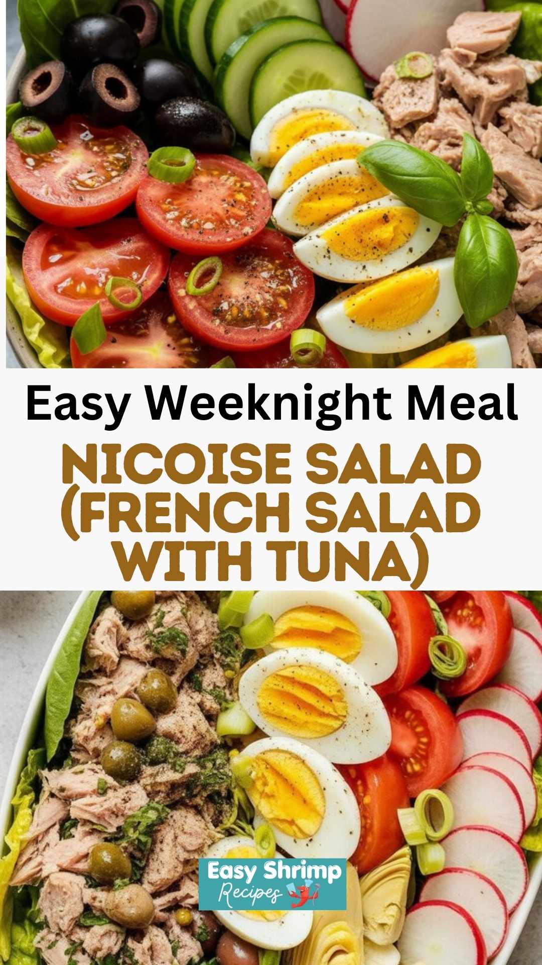 Nicoise Salad (French salad with tuna)