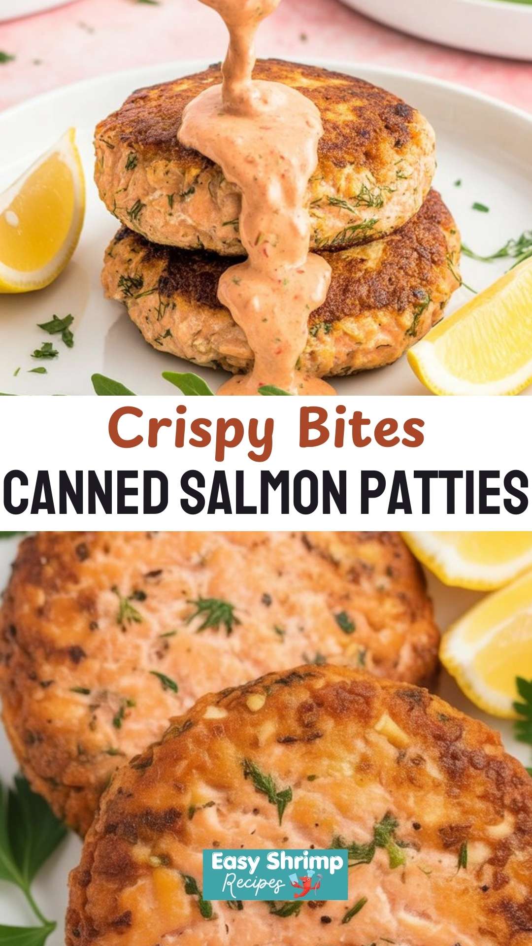 Canned Salmon Patties