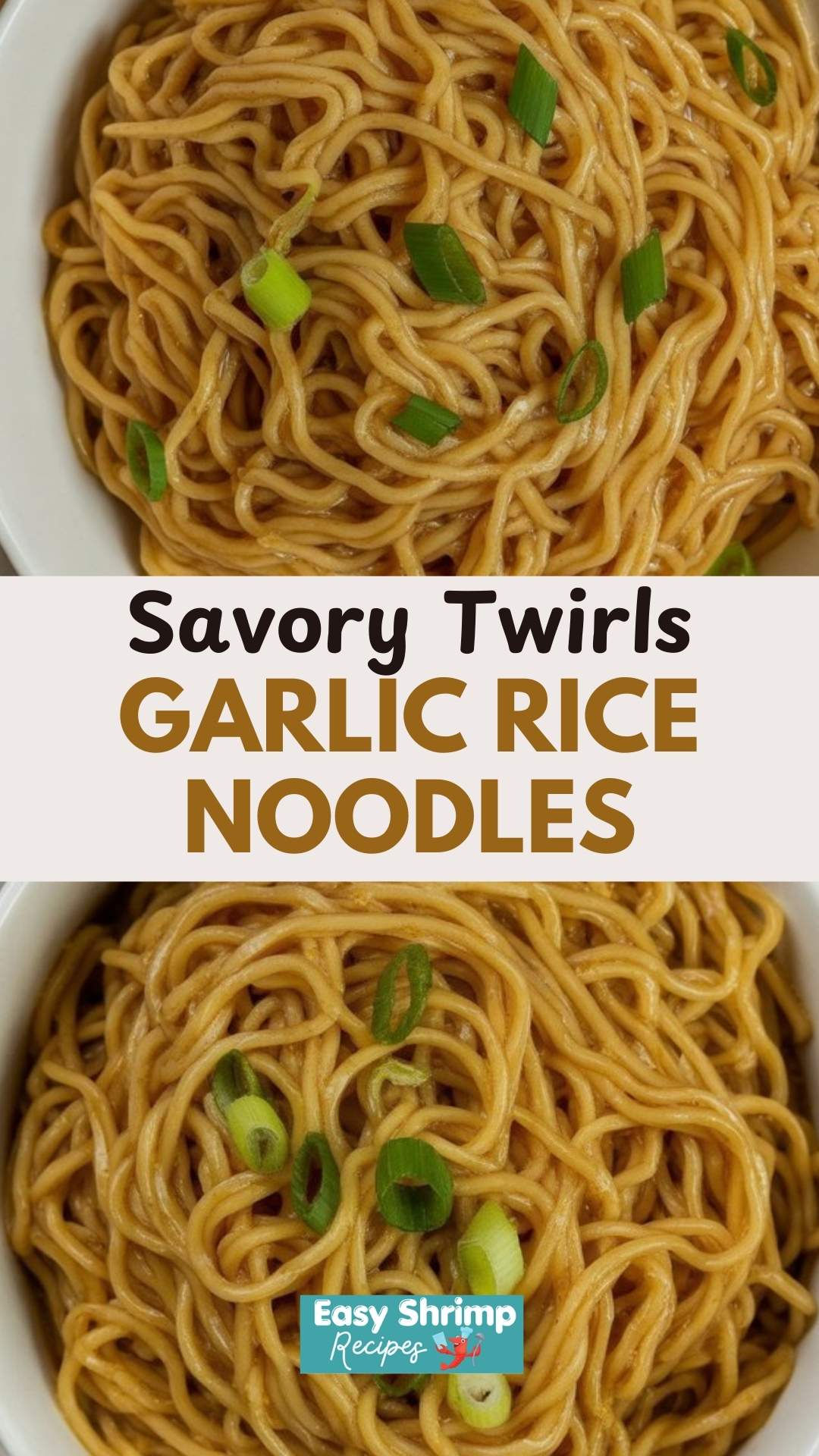Garlic Rice Noodles