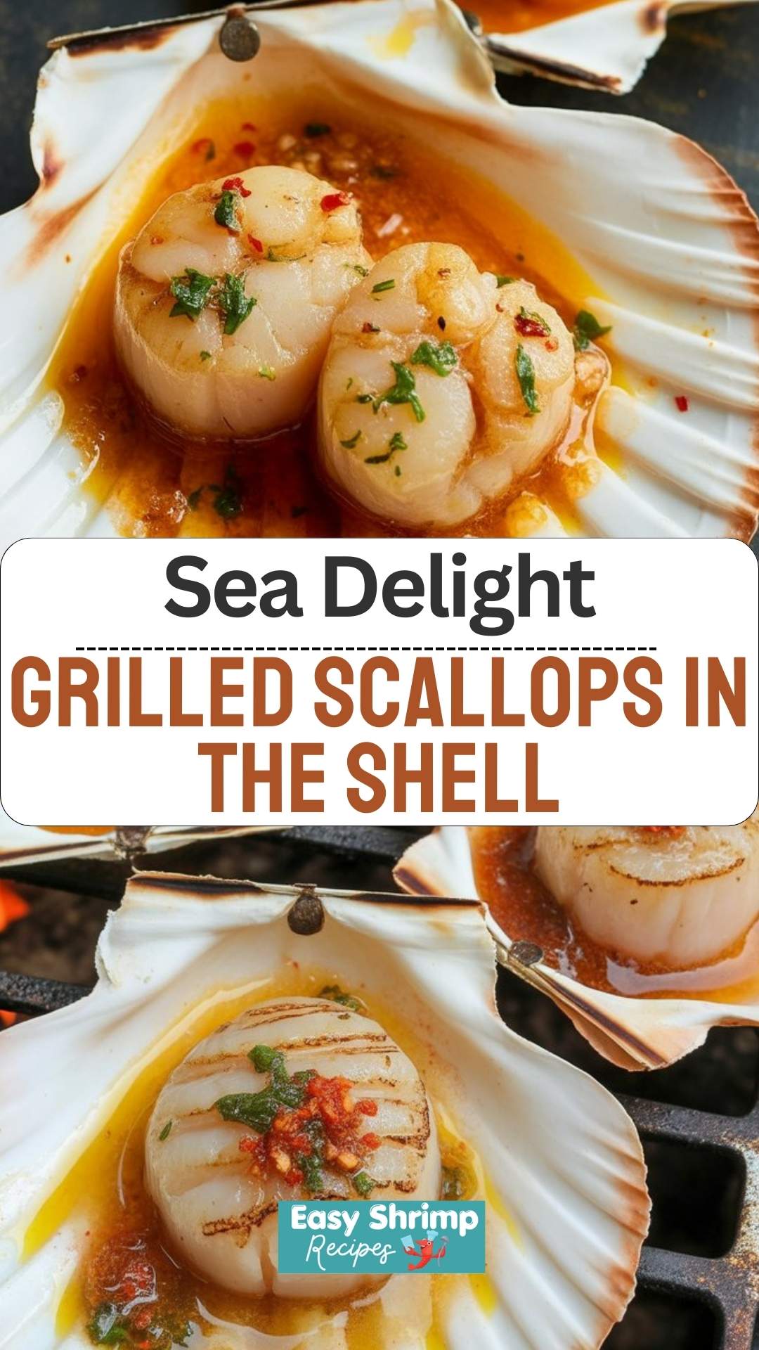 Grilled Scallops in the Shell