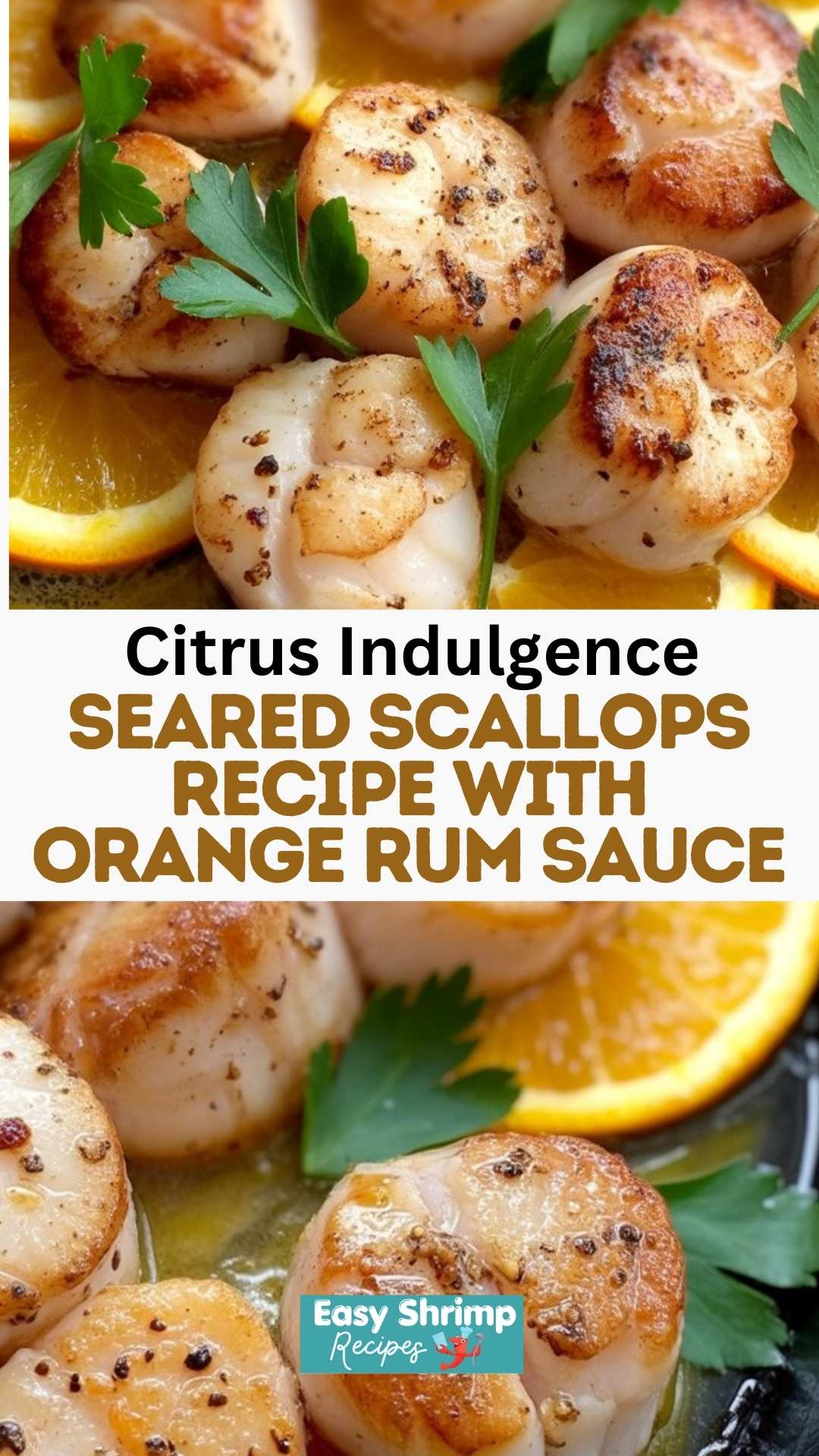 Seared Scallops Recipe with Orange Rum Sauce