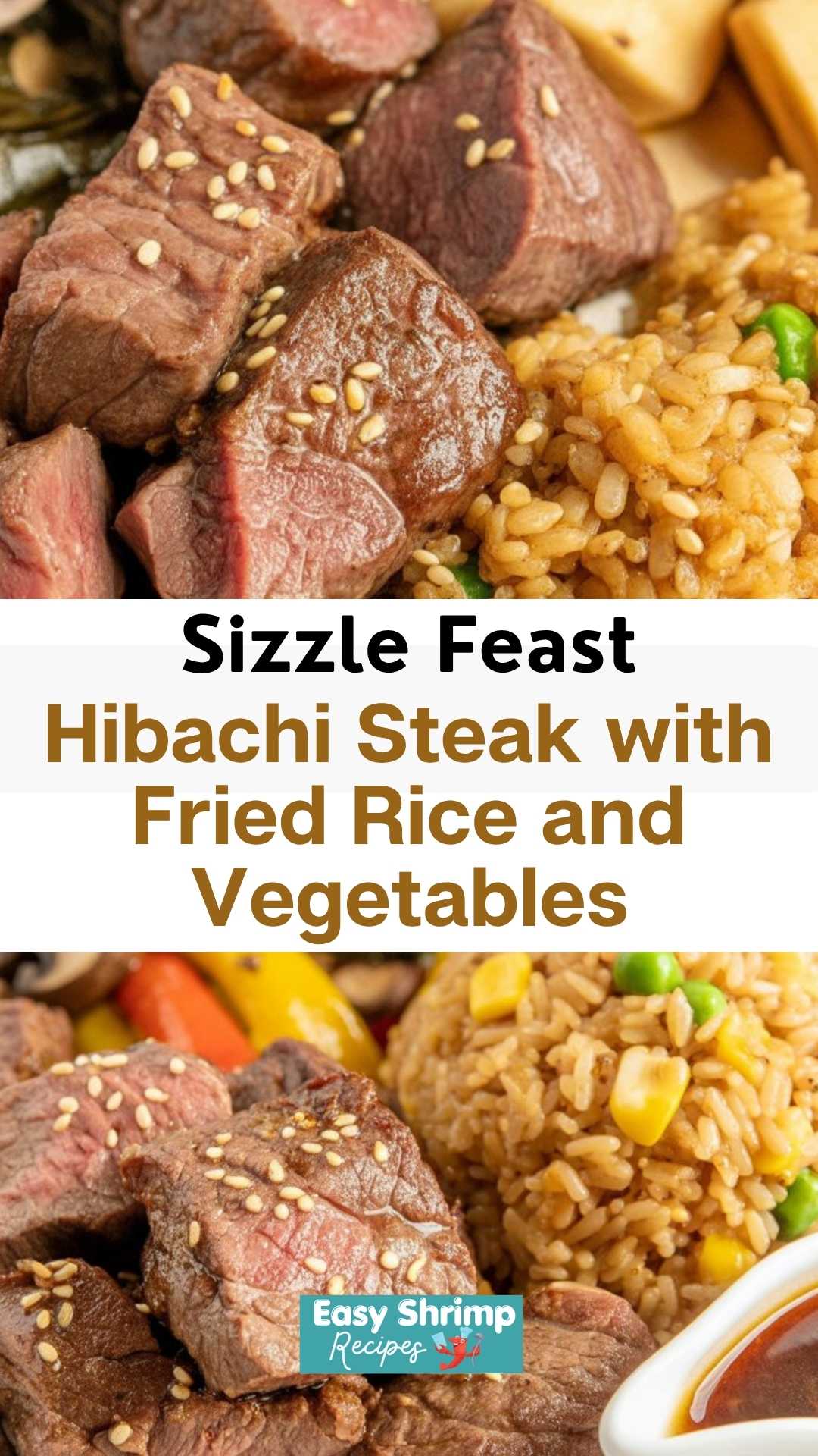 Hibachi Steak with Fried Rice and Vegetables