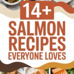 14+ Salmon Recipes Everyone Loves
