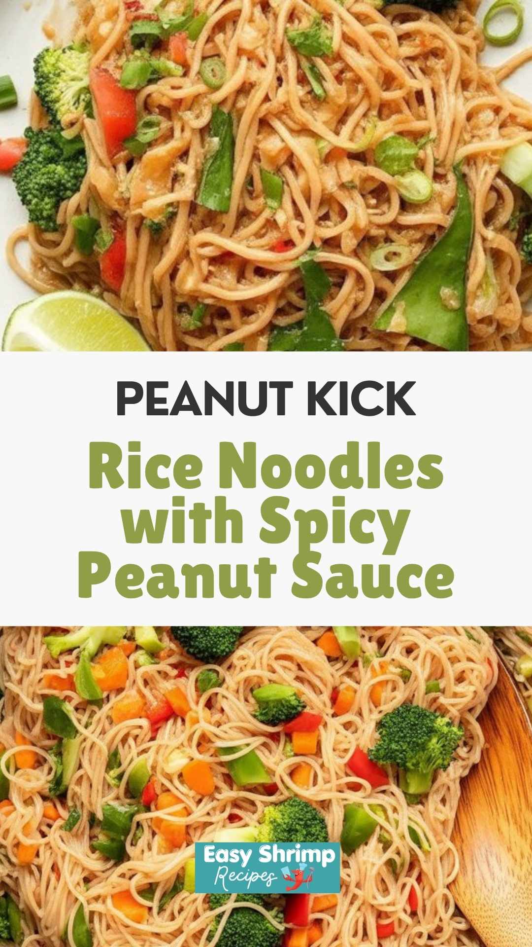 Rice Noodles with Spicy Peanut Sauce
