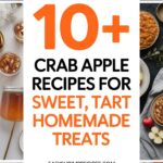 10+ Crab Apple Recipes for Sweet, Tart Homemade Treats