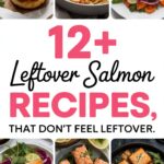 12+ Leftover Salmon Recipes That Don’t Feel Leftover