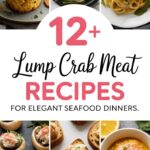 12+ Lump Crab Meat Recipes for Elegant Seafood Dinners