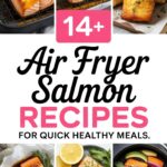 14+ Air Fryer Salmon Recipes for Quick Healthy Meals