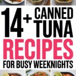 14+ Canned Tuna Recipes for Busy Weeknights