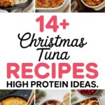 14+ Christmas Tuna Recipes High Protein Ideas
