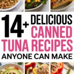 14+ Delicious Canned Tuna Recipes Anyone Can Make