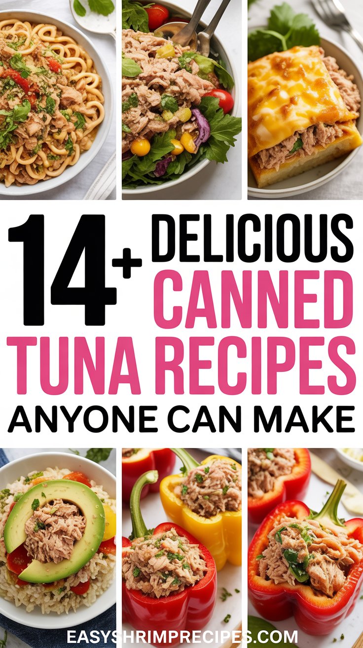 14+ Delicious Canned Tuna Recipes Anyone Can Make