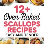 12+ Oven-Baked Scallops Recipes Easy And Tender