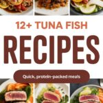 12+ Tuna Fish Recipes Quick, Protein-Packed Meals